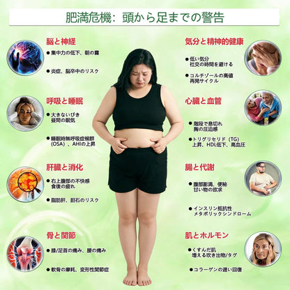 内臓脂肪対策サポート 👨‍⚕️🧪GeeLemon®＆NAD+ 8-in-1 ナノ強化フォーミュラ — 肥満、肌のたるみ、糖尿病、睡眠時無呼吸症候群、関節の悩み、その他健康上の懸念にアプローチ🛍️